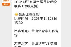 贝博官网平台中超赛前走向成谜，浙江队临场应变，引发热议，球队文化再被提及的简单介绍